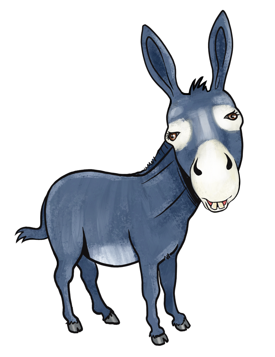 Donkey